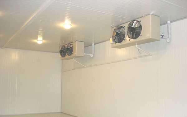 冷庫是否可以起到殺菌消毒的作用？