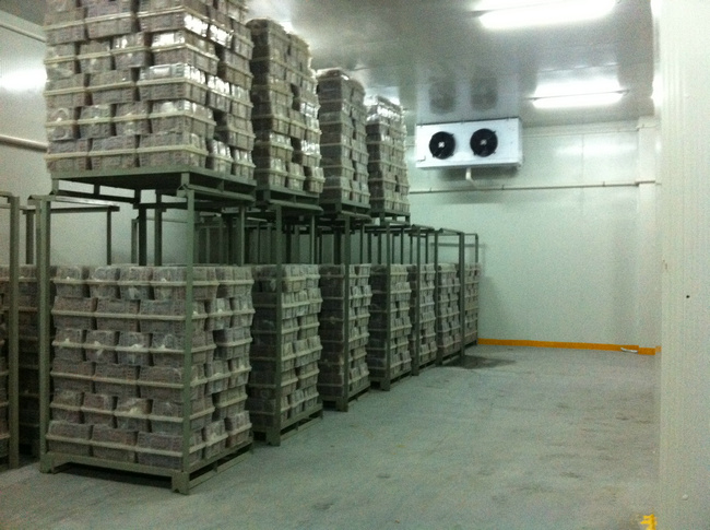 冷庫裝什么燈合適？冷庫燈和普通燈有有什么區(qū)別