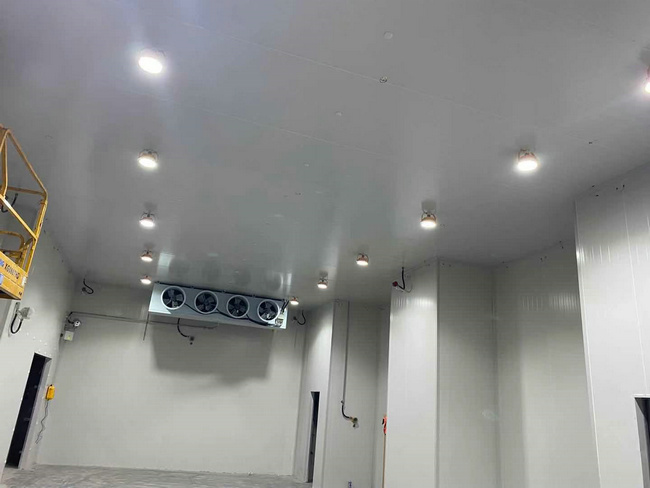 建個(gè)存放10噸貨物的冷庫(kù)大概需要多少錢(qián)?